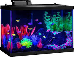 Maybe you would like to learn more about one of these? 15 Fun Fish Tank Themes You Ll Want Try