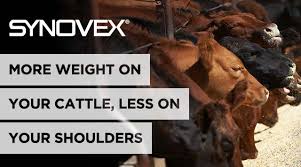 Synovex Cattle Implants Cattle Health Implants Zoetis
