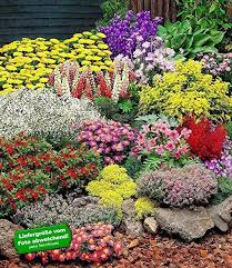 Baldur Garten Grosser Staudengarten Stauden Sortiment Staudenbeet 14 Pflanzen Schafgarbe Gelb Edelrittersporn Staudengarten Winterharte Stauden Staudenbeet