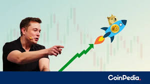 Cryptocurrency is promising, but please invest with caution, the billionaire wrote in a new tweet, with a link to a february tmz video in which he tells paparazzi about his views on. Elon Musk Warns Dogecoin Doge Supporters To Invest With Caution