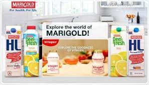 Malaysia milk sdn bhd is supported by an efficient distribution and sales network covering key market centres located throughout the country. Reviews Malaysia Milk Sdn Bhd Employee Ratings And Reviews Jobstreet Com Malaysia