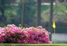 Image result