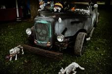 Curious at Crossroads: Oddities Fest