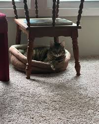 Photo posted by Jeffrey Vano (@jeffreyvanoart)