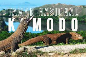 Maybe you would like to learn more about one of these? Taman Nasional Pulau Komodo Sewa Mobil Dan Wisata Indonesia