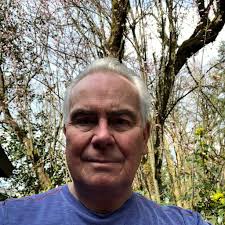 Handyman Services in Bellevue, WA