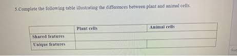 We did not find results for: 5 Complete The Following Table Illustrating The Chegg Com