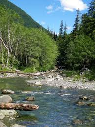 Southsultan,my stage name and am to entertain my fans to let them feel the inspiration in. Hermit At Home South Fork Sultan River Near Spada Lake Sultan Wa Scenery River Evergreen State