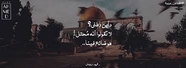 محمود درويش وطني فلسطين القدس القدس Mahmoud Darwish My Home Alquds Quotes Words Arabic القدس عربية Jerusalem Palestine Cute Wallpapers