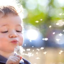 TOP 10 BEST Preschool Daycare near Clyde Hill, WA