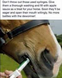 Pin By Stephanie Saasen On Horse Tack Horses Horse Health Horse Care