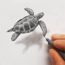 Various Styles Of 3d Drawings 3d Drawings Turtle Drawing Colored Pencil Art Projects