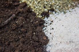 More than 46 cactus soil at pleasant prices up to 52 usd fast and free worldwide shipping! Cactus Soil And How It Differs From Regular Potting Mix