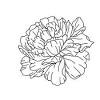 Crafting with paper and card is one of the many amazing things your digital cutting machine can help you with! Https Encrypted Tbn0 Gstatic Com Images Q Tbn And9gctka6f Xxq3ycjf 1tx Jbmkbx7cyhrtxf83ok Lcfalzpmiz B Usqp Cau