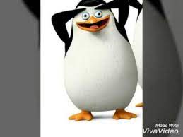 Check out inspiring examples of cabito artwork on deviantart, and get inspired by our community of talented artists. Cabo Los Pinguinos De Madagascar Youtube