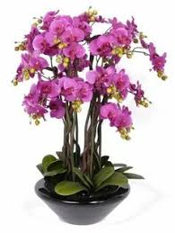 Tak kisah la bunga ros ke, bunga lily ke, bunga orkid ke, bunga tulip ke tutorial gubahan orkid simple dan mudah oleh puan noraihan binti awang noh untuk panduan semua. 23 Gubahan Orkid Ideas Gubahan Bunga Kraf Perkahwinan