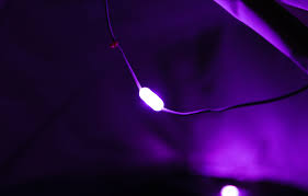 Solar, colorful, and always ready to hang. Luci Color Solar String Lights Mpowerd Inc