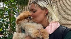 Jon Owsley's Instagram, Twitter & Facebook