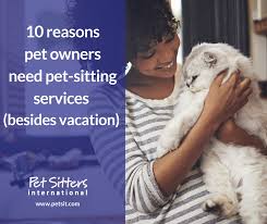 I look forward to meeting you and your furry best friends :) pets accepted: 10 Reasons For Using A Pet Sitter