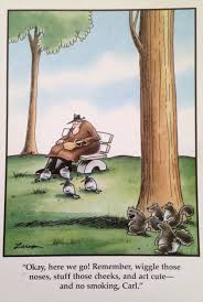 Those Darn Squirrels How Can You Resist Gary Larson Cartoons The Far Side Far Side Cartoons