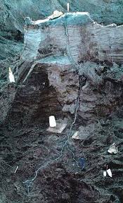 The Dangers Of Lightning Fulgurite Natural Phenomena Science And Nature