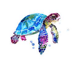 Sea Turtle By Suren Nersisyan Turtle Painting Turtle Watercolor Sea Turtle Art