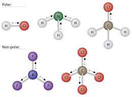 We did not find results for: Polar Molecules Chemistry For Non Majors