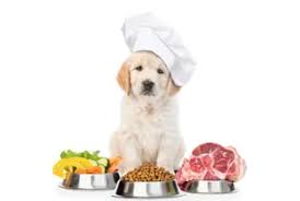 I cani non dovrebbero essere nutriti con avanzi di tavola, in quanto alcuni di questi potrebbero essere tossici. Lista Cibi Vietati Ai Cani Cosa Non Possono Mangiare I Cani