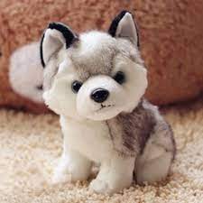 Stuffed Animal Toys Kids Husky Dog Plush Toys For Girls Boys Husky Wolf Plush Cute Small Soft Toys Stuffed Animal Birthday Gift Plush Toys Small Soft Toystoy Stuffing Aliexpress