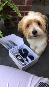 25 Amazon Products To Keep Messy Pet Homes Clean