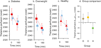 A Plant Based Meal Affects Thalamus Perfusion Differently Than An Energy And Macronutrient Matched Conventional Meal In Men With Type 2 Diabetes Overweight Obese And Healthy Men A Three Group Randomized Crossover Study Clinical Nutrition