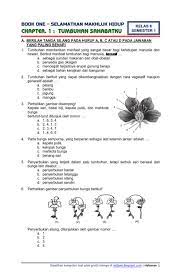 Soal penilaian harian tema 1 kelas 6 subtema 1 ini terdiri dari 15 nomor pilihan ganda dan 10 nomor essay. Download Soal Tematik Kelas 6 Semester 1 Tema 1 Subtema 1 Selamatkan Makhluk Hidup Tumbuhan Sahabatku Edisi Revisi 2018 Rief Awa Blog