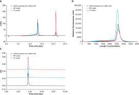 Introduction - Introduction - Chromedia