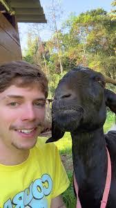 Daniel Brett's Instagram, Twitter & Facebook