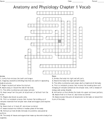Learn anatomy faster and remember everything you learn. Anatomy Crossword Wordmint