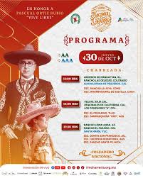 Image result for tbn:tVj6rqcH-AQR9M::www.pregonagropecuario.com.ar/images/caballo_overo.jpg