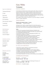 Volunteer Cv Sample