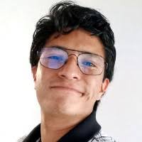 500+ "David Pizarro" profiles