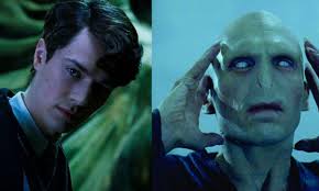 When Voldemort Came Back In Gof, Which Horcrux Did He Use To Regenerate? -  Quora