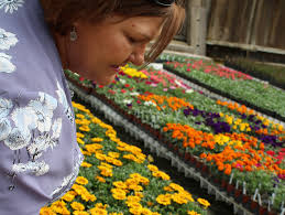 Spring Stroll a chance to check out Demonstration Garden