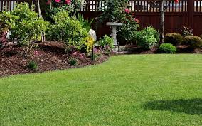 How to find sod near me and grow grass. Oxford Lawn Care Maintenance Turf Md Inc Lawn Care Services Landscaping Soil Testing Tick Control
