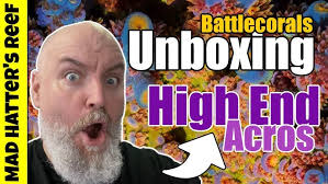 BattleCorals: New Facilities