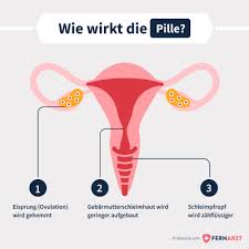 Die cerazette soll verhindern, dass die in der gebärmutter die zum ersten.das die periode teilweise ganz aufhören soll find ich nich so toll. Antibabypille Arten Wirkung Nebenwirkungen Fernarzt Com