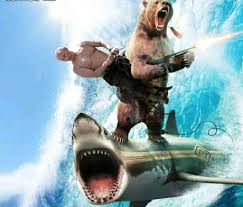 Putin Riding A Bear Riding A Shark 9gag