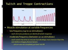 Biol 237 Class Notes - Muscle Contractions And Metabolism