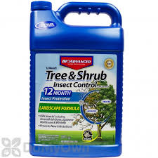 Bayer Advanced 12 Month Tree Shrub Insect Control Landscape Formula