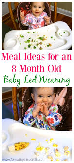 Whether you are a novice or an experienced cook, there is a recipe to su. Baby Led Weaning Meal Ideas 8 Months Old