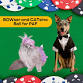 PAF 25th Annual BOWser and CATsino Ball *humans event image