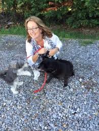 Get our nationwide pet transport service for dogs, cats, and small animals plus more at tlcpettransport.com. 30 Pet Transport Ideas Pet Transport Pet Shipping Pet Relocation