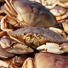 Maybe you would like to learn more about one of these? Why San Francisco S 2020 21 Dungeness Crab Season Has Been Delayed Eater Sf